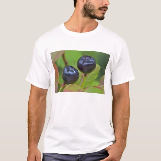 T-shirt Myrtille mûre dans le Flathead National 2 (Devant)