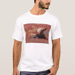 T-shirt N.A., États-Unis, Alaska, Parc national de Denali,
