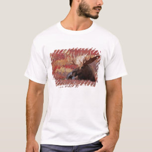 T-shirt N.A., États-Unis, Alaska, Parc national Denali, Ta