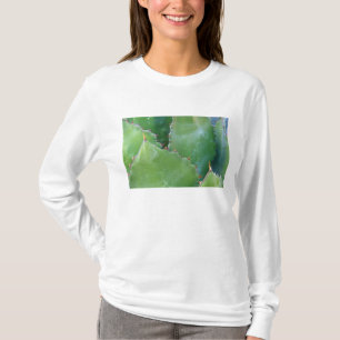 T-shirt N.A., États-Unis, Arizona, Tucson, désert de Sonor