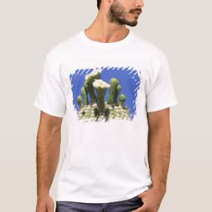 T-shirt N.A., États-Unis, Arizona, Tucson, Sonora Desert 2