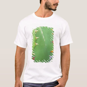 T-shirt N.A., États-Unis, AZ, Phoenix, Desert Botanical 2