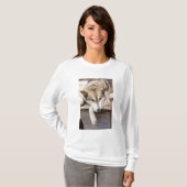 T-shirt N.A., USA, Alaska. Chiens Husky (Devant entier)