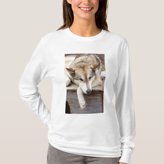 T-shirt N.A., USA, Alaska. Chiens Husky (Devant)