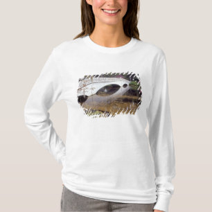 T-shirt N.D., États-Unis, Caroline du Sud, Charleston. Ma