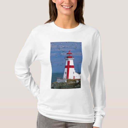 T-shirt NA, Canada, Nouveau-Brunswick, île Campobello.8 (Devant)