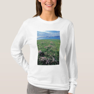 T-shirt NA, États-Unis, Alaska, Île Aléoutienne, Paysage a