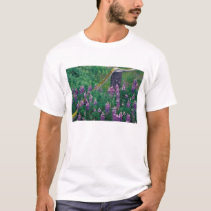 T-shirt NA, États-Unis, Alaska, Îles Aléoutiennes, Unalask