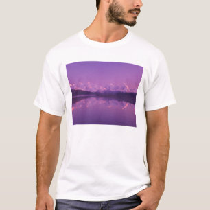 T-shirt NA, États-Unis, Alaska, Parc national Denali, Wond