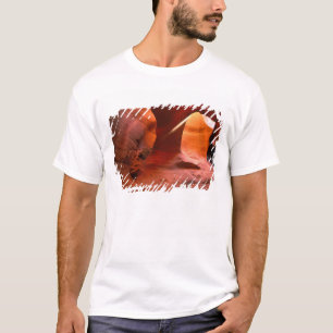T-shirt NA, États-Unis, Arizona, Canyon de Paria. Grès
