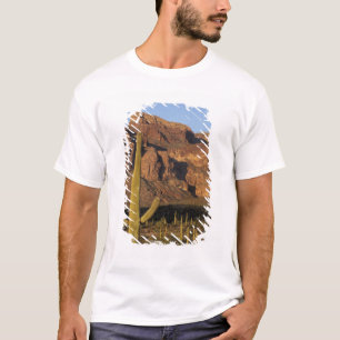 T-shirt NA, États-Unis, Arizona. Parc national de l'Organ