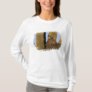 T-shirt NA, États-Unis, Arizona, Tucson. Grand-duc d'Améri