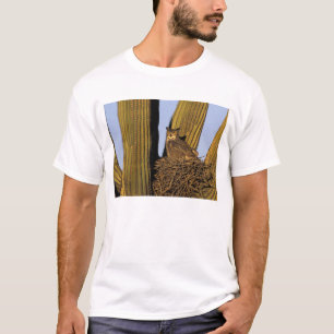 T-shirt NA, États-Unis, Arizona, Tucson. Grand-duc d'Améri