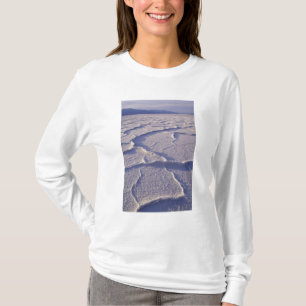 T-shirt NA, États-Unis, Californie. Parc national de la va