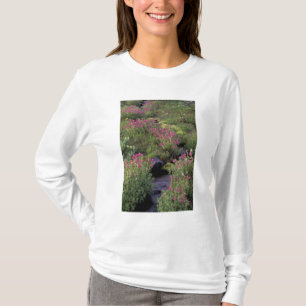T-shirt NA, États-Unis, Washington, Mt Rainier NP, Pink