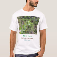 Nature plante photographie plage eau nom de voyage