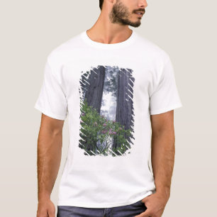 T-shirt NE, États-Unis, Californie. Parc d'État de Del Nor