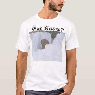 T-shirt Neige obtenue ?