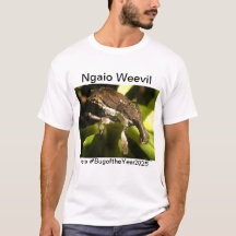 Ngaio wevil pour Bug de l'année 2025