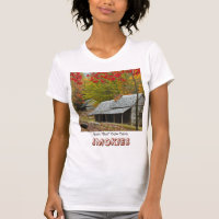 Noé "bourgeon" lorgnent le cabine dans le Smokies
