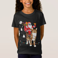 Noël Père Noël équitation Tigre Feu de Chat Noël