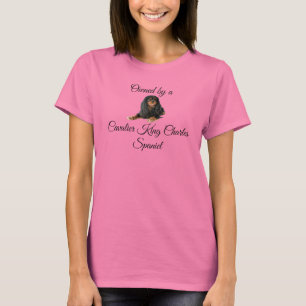 T-shirt Noir et Tan Cavalier King Charles Spaniel Chien
