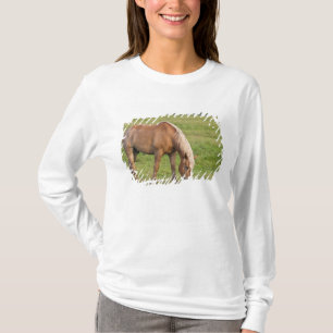 T-shirt Nouveau-Brunswick, Canada. Cheval dans un champ.