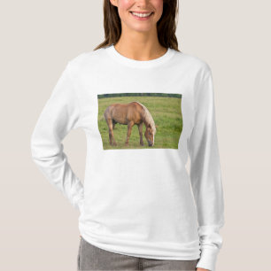 T-shirt Nouveau-Brunswick, Canada. Cheval dans un champ.