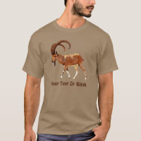 Nubian Ibex - Ein Gedi