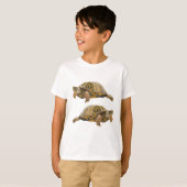 T-shirt O est pour Ornate Box Turtle (Devant entier)