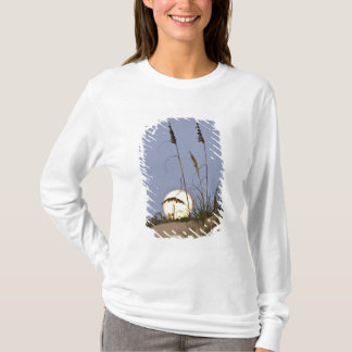 T-shirt Oats de mer Uniola paniculata) poussant dans le sa