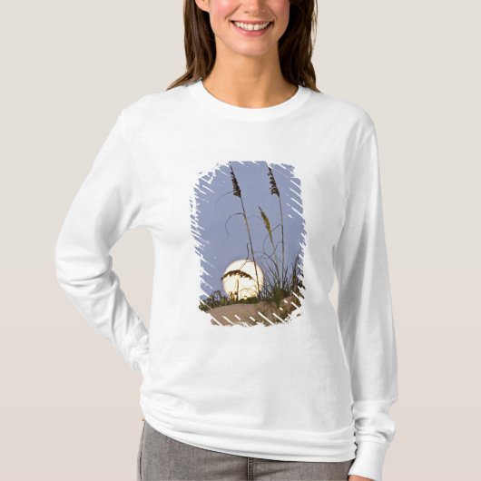 T-shirt Oats de mer Uniola paniculata) poussant dans le sa (Devant)