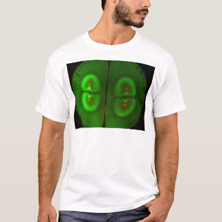 T-shirt Oeuf fertilisé de grenouille