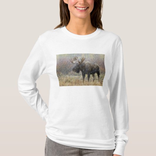 T-shirt Oie taureau en orage de neige avec peupliers faux- (Devant)