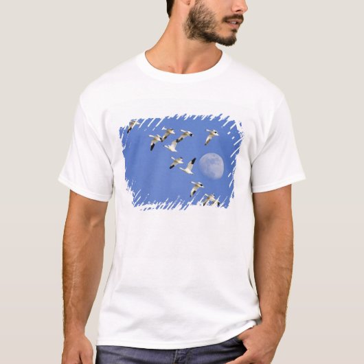T-shirt Oies des neiges prend son envol au lac Freezeout N (Devant)