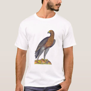 T-shirt Oiseau d'Aldrovandi de proie, de faucon ou d'Eagle