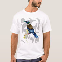 Oiseau indigène de Tui Nouvelle-Zélande