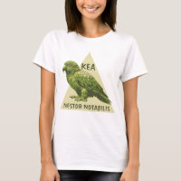 oiseau Kea de Nouvelle-Zélande