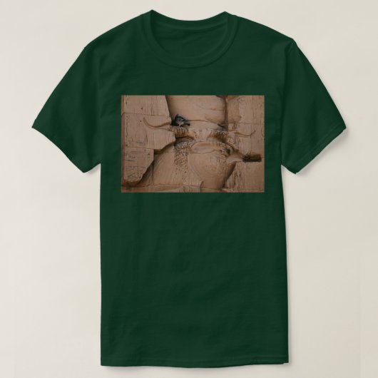 T-shirt Oiseau moderne Oiseau ancien (Design devant)