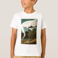 Oiseaux de John James Audubon de grue de huée de