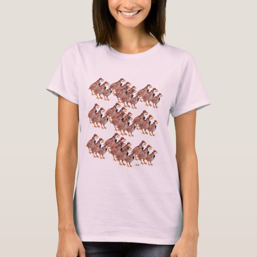T-shirt : Oiseaux De Plumes (Devant)