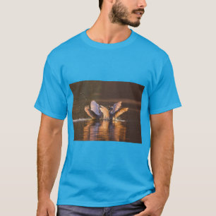 T-shirt Oiseaux gracieux et ailes emplumées