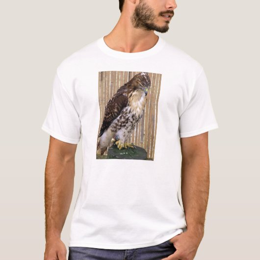T-shirt Oiseaux sauvages : Faucon Rouge-Coupé la queue (Devant)
