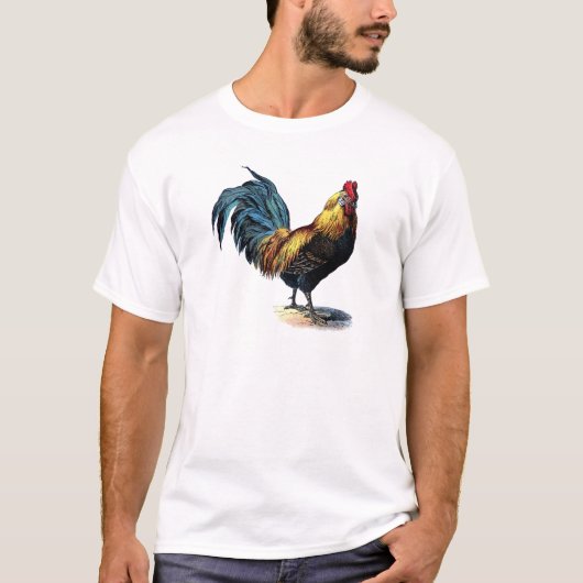 T-SHIRT OLD ROOSTER (Devant)