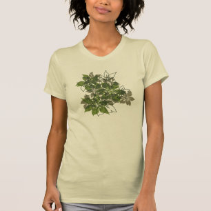 T-shirt Olowalu Hibiscus Tee - shirts camboistes hawaïens