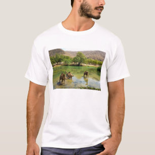 T-shirt Oman, Wadi darbat