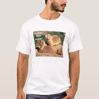T-shirt Ombre ?