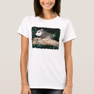 T-shirt Opossum sur la branche