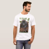 T-shirt Orang-outan Pongo Pygmaeus (Devant entier)