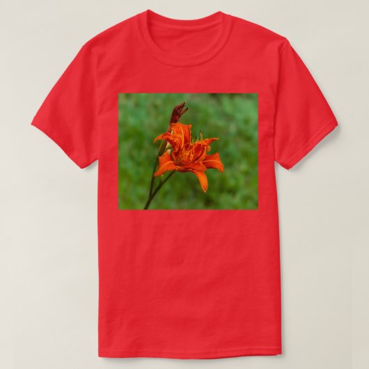 T-shirt Orange Daylily 2 (Design devant)